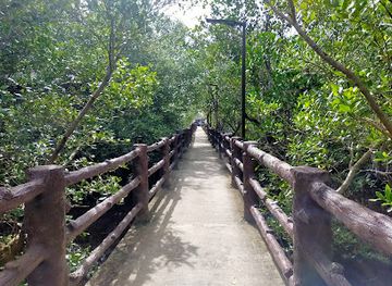 philippines/eastern-visayas/attraction/sybreeze-natures-resort