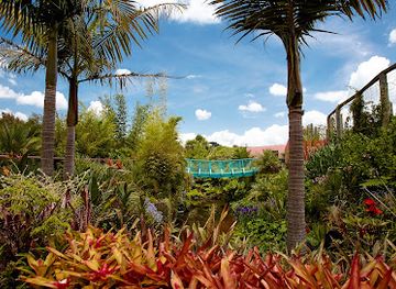 new-zealand/hamilton/attraction/tropical-garden