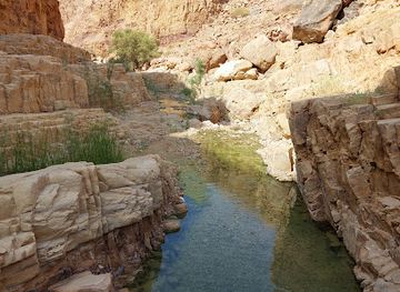 jordan/ma-in-hot-springs/attraction/wadi-himara