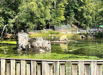 wisconsin/chippewa-valley/attraction/irvine-park-zoo