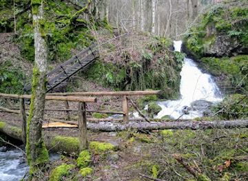 france/vosges-mountains/attraction/cascade-du-bubalafels