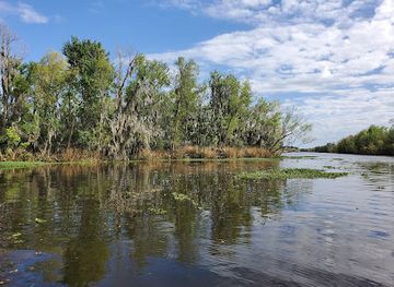 louisiana/houma/attraction/mandalay-national-wildlife-refuge