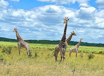 mozambique/maputo-province/attraction/parque-nacional-de-maputo