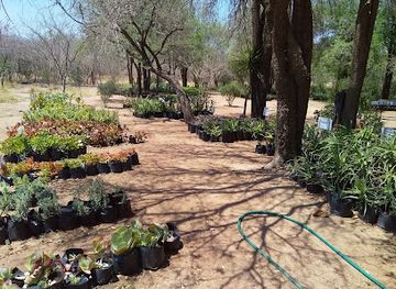 botswana/southern-district/attraction/mokolodi-indigenous-nurseries