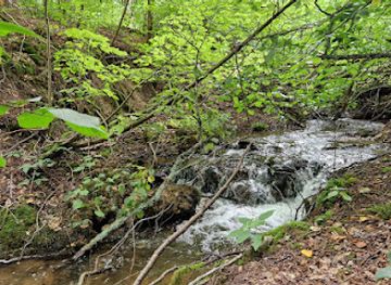 lithuania/trakai-island-castle/attraction/vilsos-upelio-kriokliai