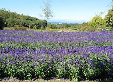 japan/hokkaido/attraction/tokachi-hills