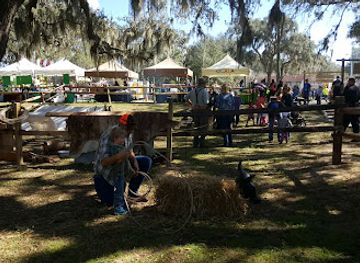 florida/ocala/attraction/reilly-arts-center