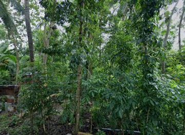 philippines/panglao-island/attraction/hinakhakan-bich