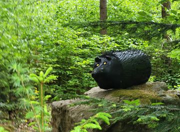 czechia/moravian-karst/attraction/drevena-zoo-klepacov