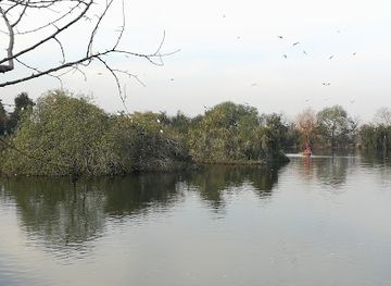 pakistan/rawalpindi/attraction/noveltea-lake-ayub-national-park