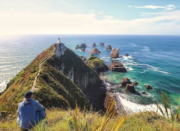 new-zealand/otago/attraction/nugget-point-lighthouse