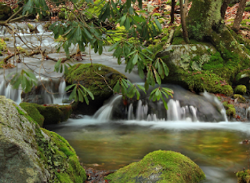 honduras/cusuco-national-park/attraction/naturaleza-merendon