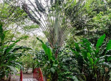 grenada/la-sagesse-beach/attraction/jessamine-eden