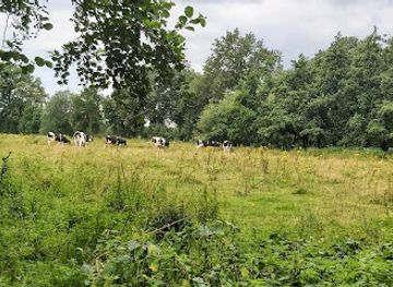 netherlands/limburg-province/attraction/wandelroute-avonturenpad-sevenum