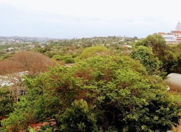 south-africa/durban/attraction/msinsi-nature-reserve