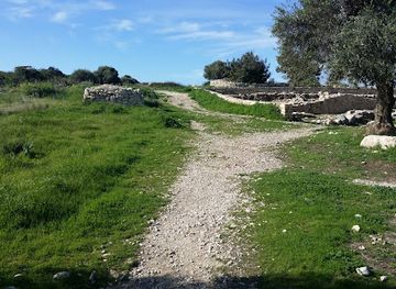 cyprus/kokkinochoria-red-soil-villages/attraction/early-christian-basilica