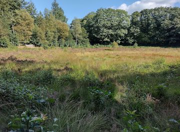 netherlands/drenthe/attraction/gletsjerkuil