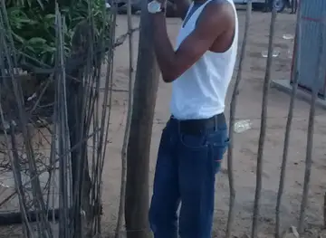 Marula Nursery