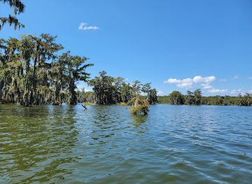 louisiana/bayou-teche/attraction/swamp-tours-of-acadiana