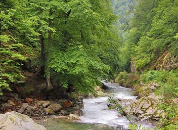 romania/gorj/attraction/cheile-gilortului