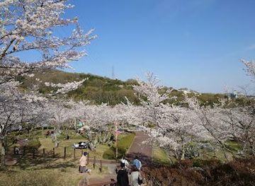 japan/kyoto/attraction/settsukyo-park