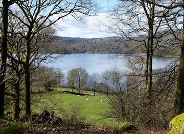 united-kingdom/lake-district-national-park/attraction/stagshaw-gardens