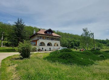 romania/dambovita/attraction/casa-memoriala-dinu-lipatti