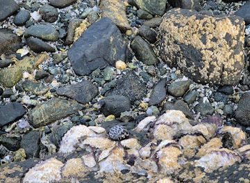 oman/masirah-island/attraction/haql-beach