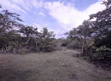 el-salvador/joya-de-ceren-archaeological-site/attraction/anp-el-jabali