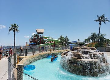 texas/galveston/attraction/palm-beach-at-moody-gardens