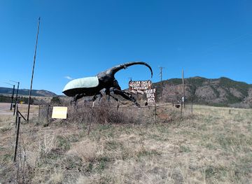 colorado/pikes-peak/attraction/herkimer-the-world-s-largest-beetle
