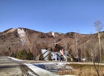 vermont/killington-ski-area/attraction/coolidge-state-forest