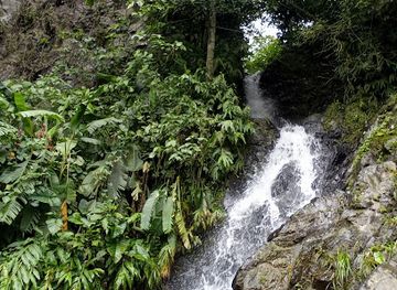 colombia/los-nevados-national-natural-park/attraction/cascada-via-santa-rosa-chinchina