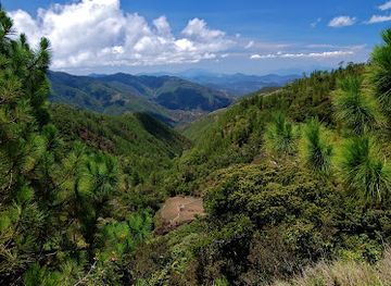 philippines/luzon/attraction/mt-pulag-protected-landscape