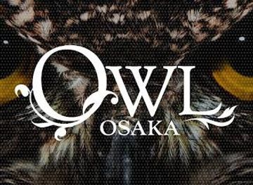 japan/settsu/attraction/owl