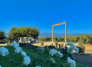 chile/rancagua/attraction/vina-butron-budinich