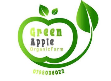 jordan/ma-in-hot-springs/attraction/green-apple