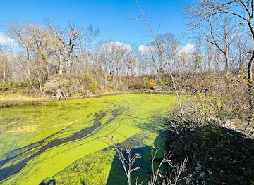 iowa/backbone-state-park/attraction/bird-observation-blind