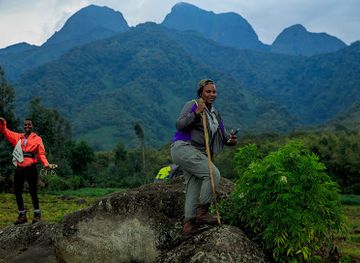 rwanda/ruhengeri/attraction/wood-wildlife-photography