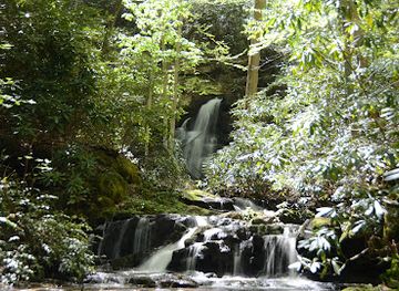 tennessee/great-smoky-mountains-national-park/attraction/mannis-branch-falls