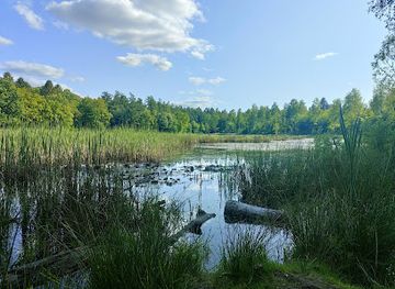 denmark/viborg/attraction/undallslund