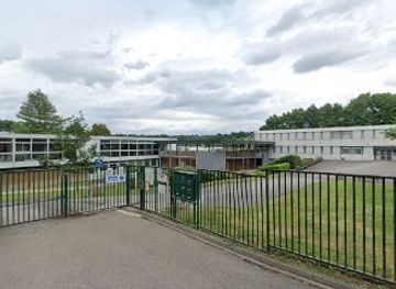 france/limoges/attraction/fresque-murale-collaborative-sema-lao