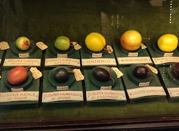 italy/piedmont/attraction/museum-of-fruit-francesco-garnier-valets