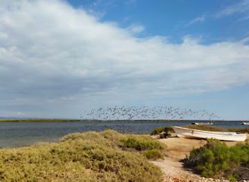 mexico/baja-california-peninsula/attraction/san-ignacio-lagoon