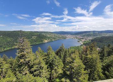 france/vosges-mountains/attraction/cascade-de-merelle