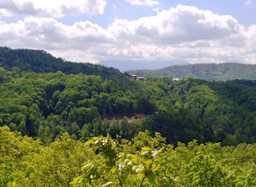 tennessee/great-smoky-mountains/attraction/smoky-mountain-ziplines