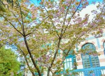 france/toulouse/attraction/georges-labit-museum