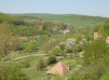romania/harghita/attraction/muzeul-apelor-minerale