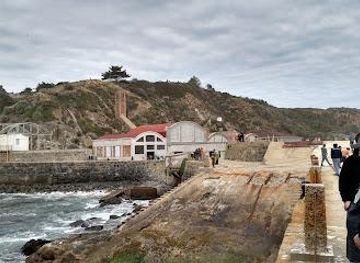 chile/valparaiso/attraction/ex-ballenera
