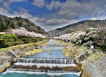 japan/hakone/attraction/miyaginohayashikawazutsuminozakura
